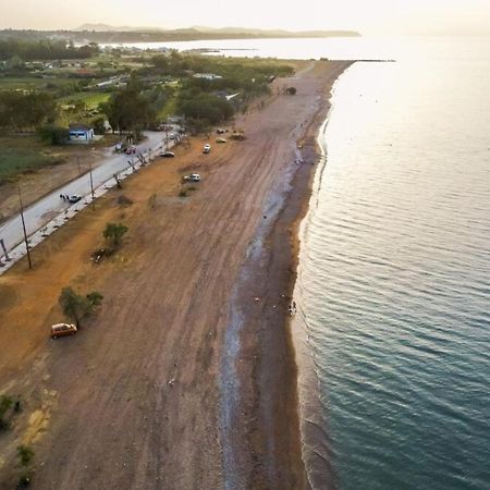 Sea Breeze Villa Káto Achaḯa Eksteriør bilde