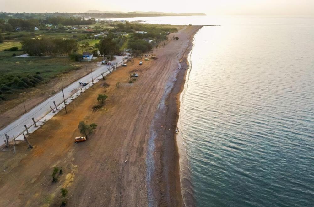 Sea Breeze Villa Káto Achaḯa Eksteriør bilde